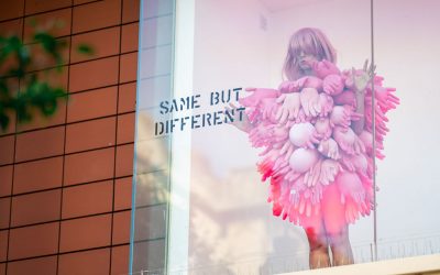 Worcester’s empty shop fronts came to life for Same But Different