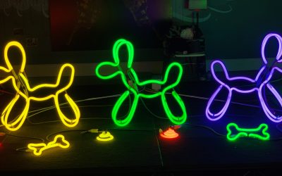 Light Night Worcester to brighten up dark February evenings